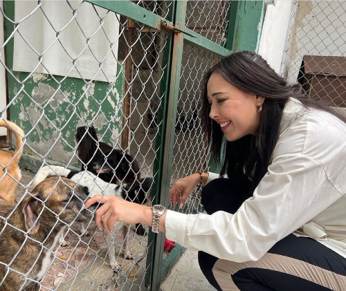 El impacto de esta generosa donación El impacto de esta generosa donación