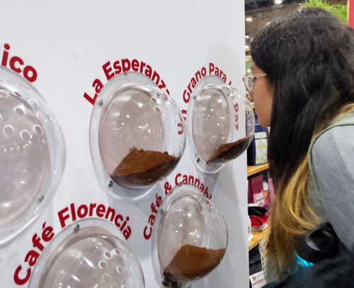 Cauca presente en Expo Especiales 2023 Cauca presente en Expo Especiales 2023
