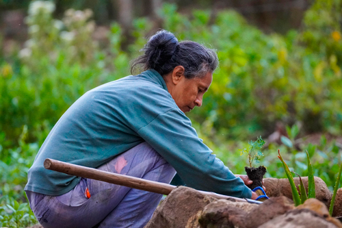Mañana es el Día Internacional de las Mujeres Rurales Mañana es el Día Internacional de las Mujeres Rurales