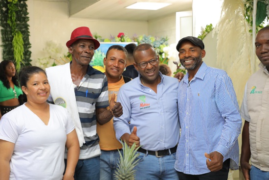 El Norte del Cauca, un indicador de progreso - Implementación Proyecto de Piña