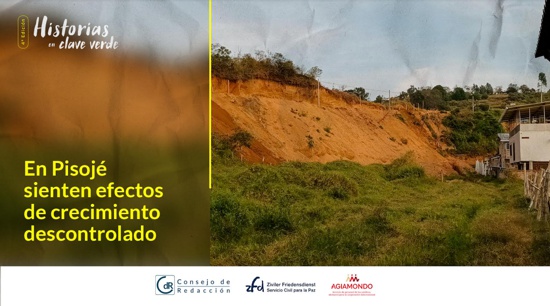 En Pisojé sienten efectos de crecimiento descontrolado