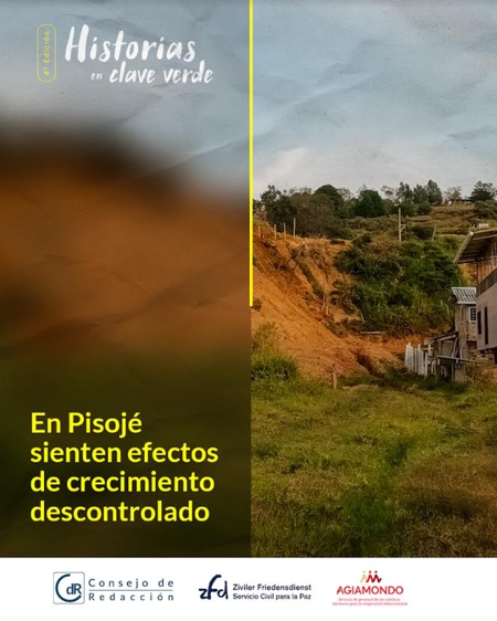 En Pisojé sienten efectos de crecimiento descontrolado
