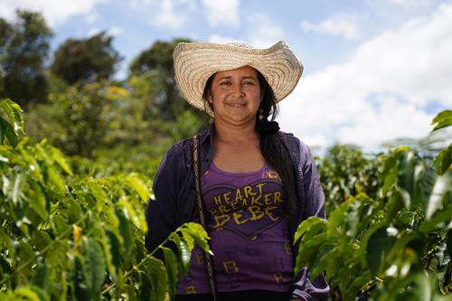 "Héroes del Clima" en el Cauca "Héroes del Clima" en el Cauca