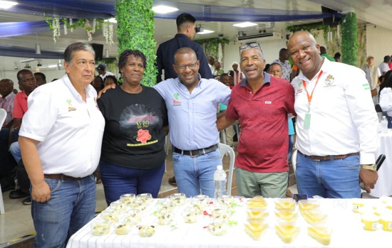 La piña de la paz se cultiva en el Norte del Cauca La piña de la paz se cultiva en el Norte del Cauca