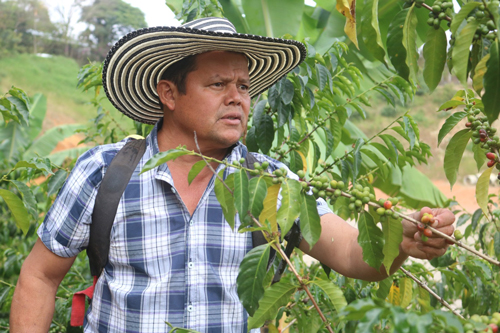 Un campesino del pueblo representará a Caldono