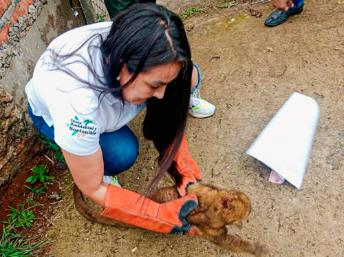 Rescate heroico en Piendamó