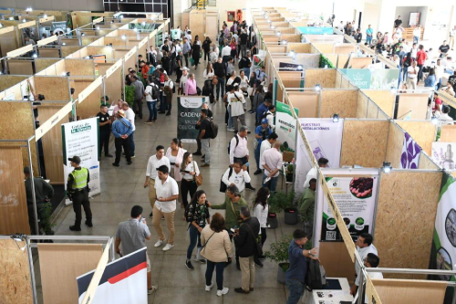 II Cumbre Nacional: Cannabis y Cáñamo en Cali 2023 II Cumbre Nacional: Cannabis y Cáñamo en Cali 2023