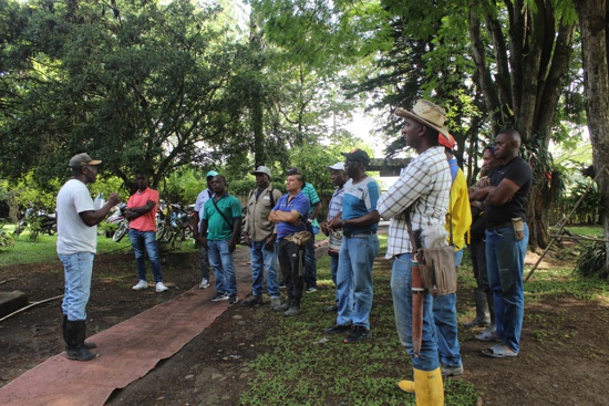 Alcalde de Villa Rica impulsa el desarrollo agrícola