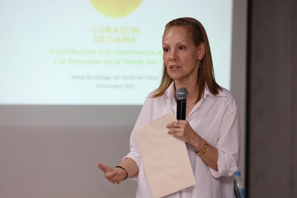 Vicepresidenta instaló Mesa Interétnica del Norte del Cauca Vicepresidenta instaló Mesa Interétnica del Norte del Cauca