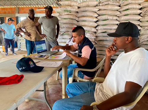 Proyecto Cultivo de Yuca