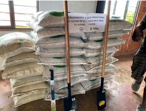 Proyecto Cultivo de Yuca