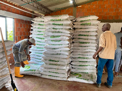 Proyecto Cultivo de Yuca