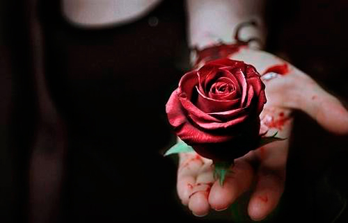 A la mujer ni con el pétalo de una rosa