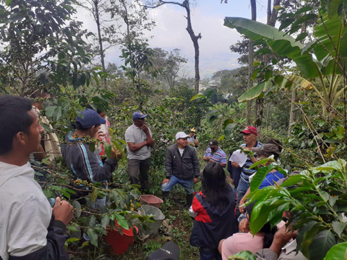 Quilichao avanza con obras sociales
