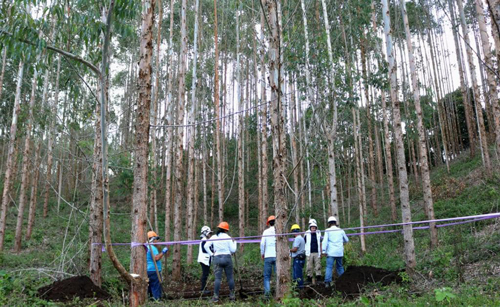 Cauca cuenta con entidad de búsqueda de desaparecidos Cauca cuenta con entidad de búsqueda de desaparecidos