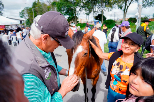 Se terminan los vehículos de tracción animal en Popayán Se terminan los vehículos de tracción animal en Popayán