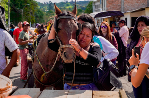 Se terminan los vehículos de tracción animal en Popayán Se terminan los vehículos de tracción animal en Popayán