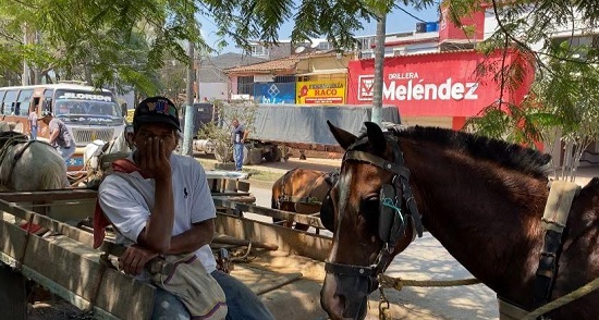Anhelada sustitución de vehículos de tracción animal en Quilichao