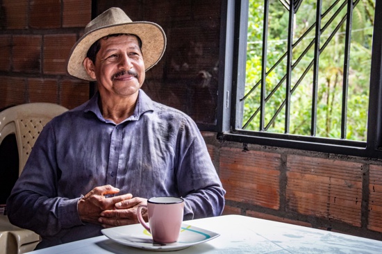 Buscan candidato(a) a la dirección del Comité de Cafeteros del Cauca