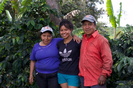Buscan candidato(a) a la dirección del Comité de Cafeteros del Cauca