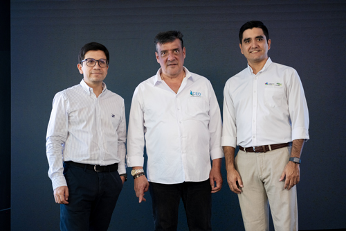 Indice Multidimensional de Pobreza Energética (IMPE) Indice Multidimensional de Pobreza Energética (IMPE)