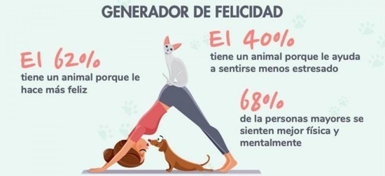 Hábitos para una vida larga y saludable