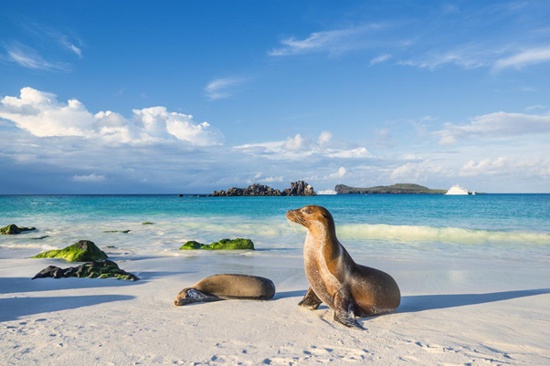Playas de Ecuador, un paraíso tropical