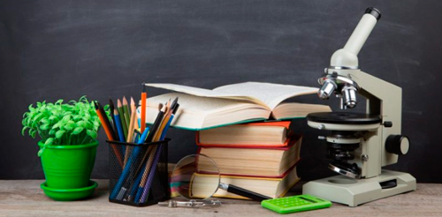 El ciclo de la educación formal, una solución máxima