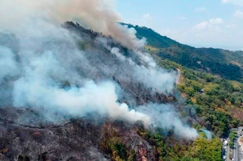 ¿Los bomberos están listos para los incendios forestales? ¿Los bomberos están listos para los incendios forestales?