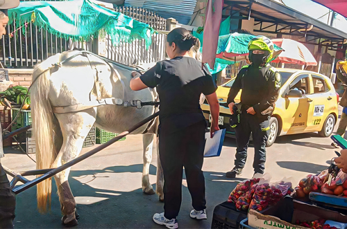 Control a vehículos de tracción animal en Popayán