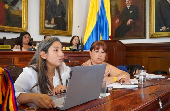 Propuesta de la conmemoración de la mujer en Popayán