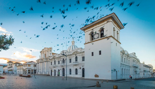 Acciones contra el dengue en Popayán