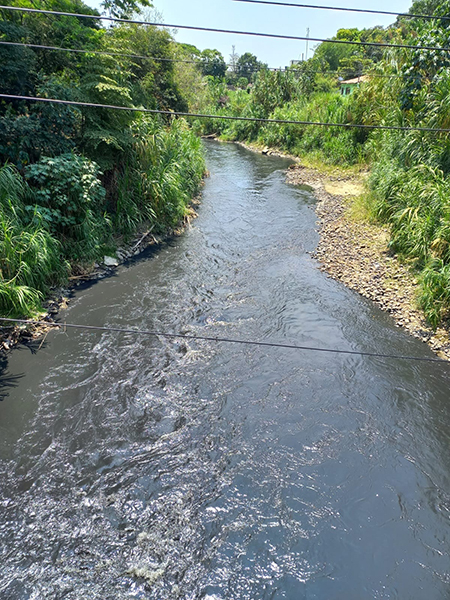 Escándalo ambiental en Colombia desde Puerto Tejada Escándalo ambiental en Colombia desde Puerto Tejada