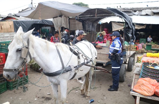 Jornada de sensibilización vial en el barrio Bolívar Jornada de sensibilización vial en el barrio Bolívar