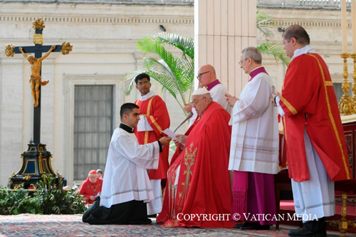 Papa Francisco oró por víctimas asesinadas en San José de Apartadó Papa Francisco oró por víctimas asesinadas en San José de Apartadó