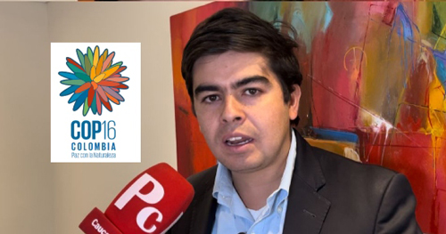 Proyecciones positivas para el Valle del Cauca