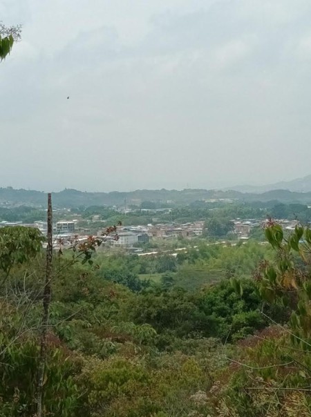 Urge preservación de “Monte Japio”, en las goteras de Quilichao. Urge preservación de “Monte Japio”, en las goteras de Quilichao.