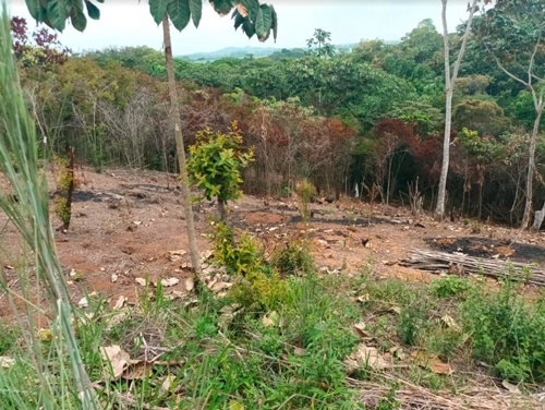 Firmatón por reserva ambiental en Quilichao Firmatón por reserva ambiental en Quilichao