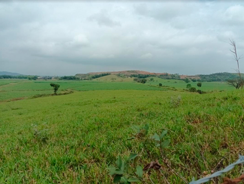 Firmatón por reserva ambiental en Quilichao Firmatón por reserva ambiental en Quilichao