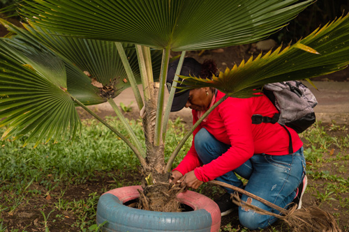 SEDAM y EMMIR Embellecen Ecoparque en Miranda