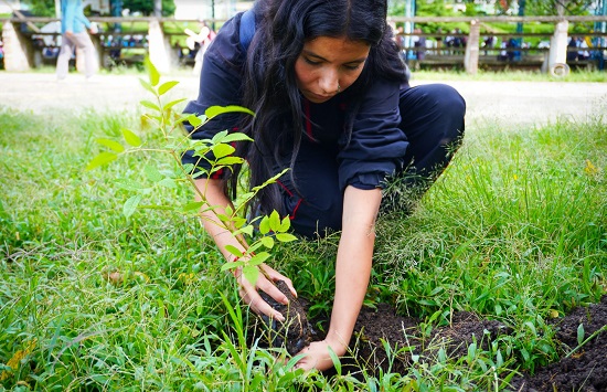 Alianzas con el Medio Ambiente en la celebración del Día del Árbol