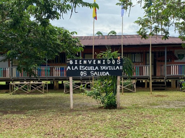 El librero de la selva El librero de la selva