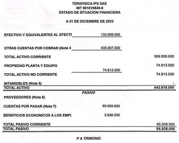Estado de Situación Financiera de Terafísica IPS SAS a diciembre de 2023