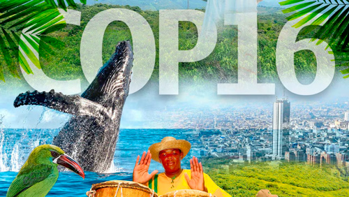 La COP-16 y los retos del movimiento socio-ambiental