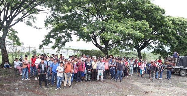 3.400 millones de pesos para la producción cafetera de pueblos indígenas en el Cauca 3.400 millones de pesos para la producción cafetera de pueblos indígenas en el Cauca