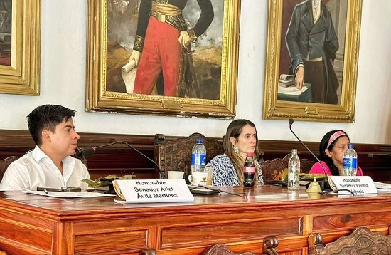 Comisión de Paz del Senado sesionó en el Concejo de Popayán Comisión de Paz del Senado sesionó en el Concejo de Popayán