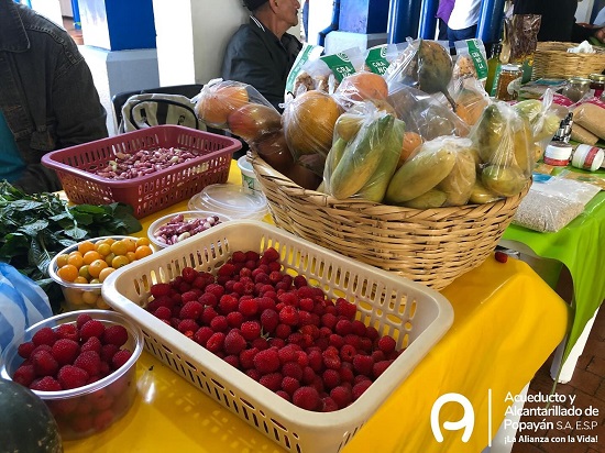 Mercado orgánico cumplió expectativas en el Acueducto de Popayán Mercado orgánico cumplió expectativas en el Acueducto de Popayán