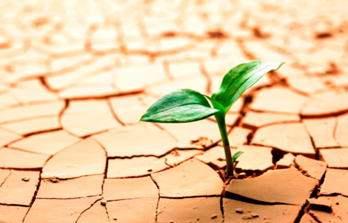 La resiliencia: nuestra fortaleza ante los obstáculos