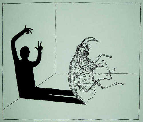 FRANZ KAFKA A LA COLOMBIANA