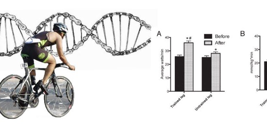 La epigenética médica y la ciencia deportiva de precisión La epigenética médica y la ciencia deportiva de precisión